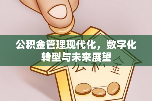 原阳公积金管理现代化，数字化转型与未来展望