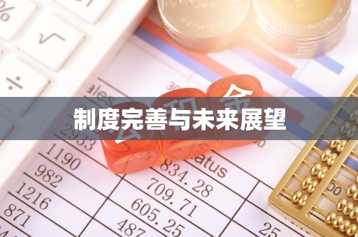 原阳制度完善与未来展望