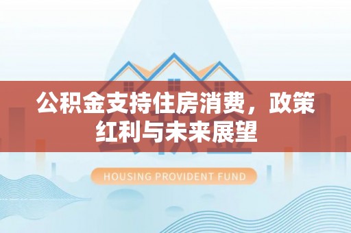 原阳公积金支持住房消费，政策红利与未来展望