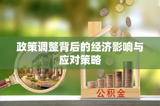 原阳政策调整背后的经济影响与应对策略